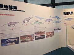 -中国（海南）南海博物馆
