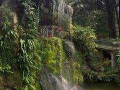 -吉隆坡雀鸟公园