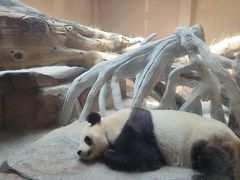 -宁波野生动物园