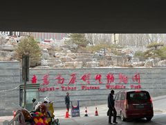 -青藏高原野生动物园