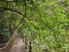 -四会奇石河风景区