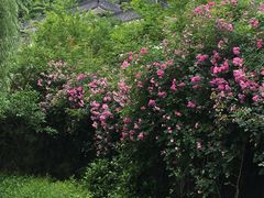 -龙宫洞风景区