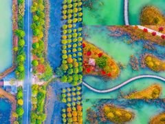 -泗洪洪泽湖湿地景区