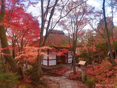 -常寂光寺