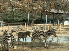 -西安秦岭野生动物园
