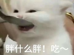 -老四川平头酸菜鱼(衙前店)