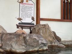 -唐风温泉