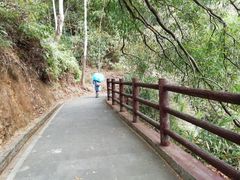 -羚羊峡古栈道森林公园