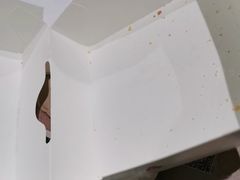 -麦当劳(北京大兴机场二层国内到达(安检外)店)