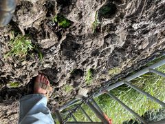 -七仙岭温泉国家森林公园