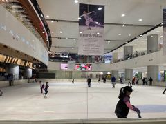 -TheRink大零溜冰场(IFS国金中心店)