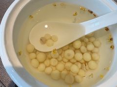 -松鹤楼(狮山永利广场店)