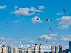 -黑石礁公园