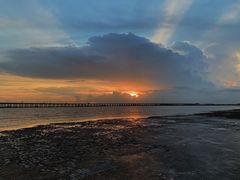 -宝安西湾红树林湿地公园