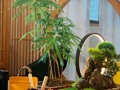 -竹鲜笙全竹宴(国色天香店)