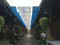 -安仁古镇