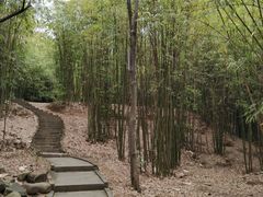 -富乐山