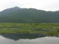 景点-腾冲北海湿地