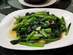 猪油渣菜心-美极鲜食坊(宝安南路店)