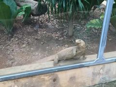 -广东茂名森林公园