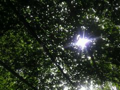 android_upload_pic-沕沕水生态风景区