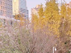 -天河体育中心