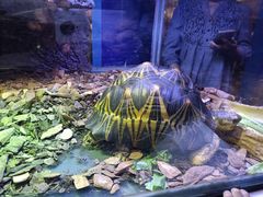 -上海海洋水族馆