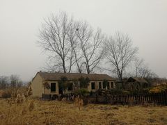 -盐城丹顶鹤湿地生态旅游区