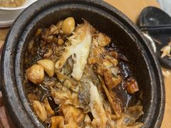 -海派美食·家宴海鲜青岛菜·石锅鲽鱼头(东方城店)