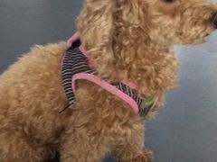 -ZEMOCAFE·FUSION FOOD(西交利物浦店)