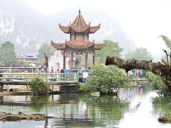 -靖西鹅泉风景区