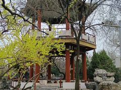-莲花池公园