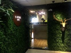 -V-STAR威斯达•高级私人定制