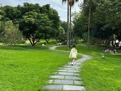 -南宁南湖公园