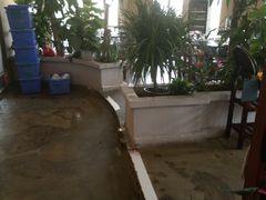 -东江港海鲜城(广雅花园别墅区店)