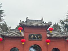 -洛阳白马寺