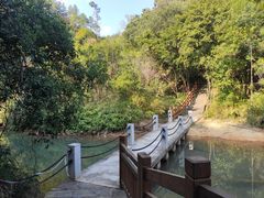 -广州白江湖森林公园
