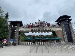 -贵州百里杜鹃风景名胜区