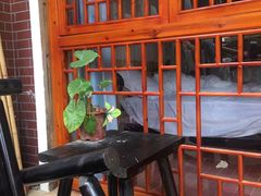 -鱼乐岛餐厅·户外花园主题餐厅