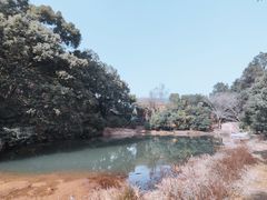-灵岩山风景区