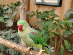 -南宫五洲植物乐园