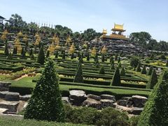 -东芭乐园