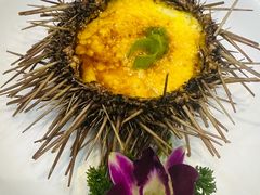 -日月昇渔家菜·海肠捞饭·大连海鲜(星海公园店)