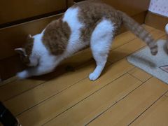 -黑马眼科·近视手术