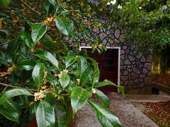 -共青国家森林公园-售票处