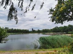 -永定河休闲森林公园