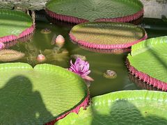 -国家植物园南园