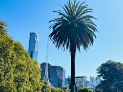 -墨尔本皇家植物园