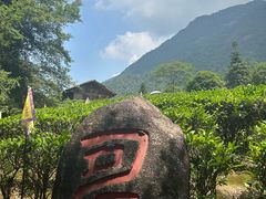 -姑婆山旅游区