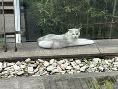 -知美术馆